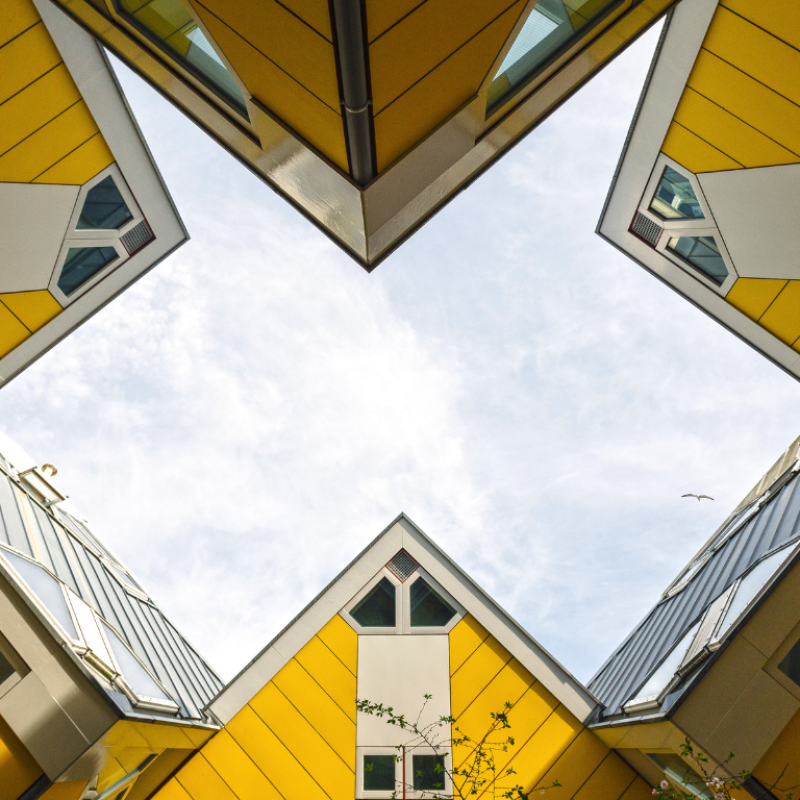Yellow houses